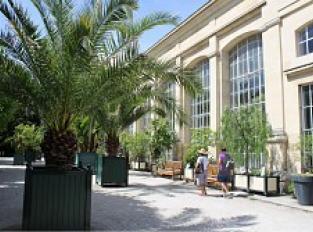 Jardin des Plantes et Jardin Botanique