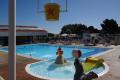 Albizia-piscine-03.jpg